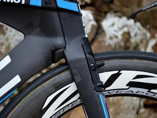 Authorities seek individuals who may have observed a physical assault.