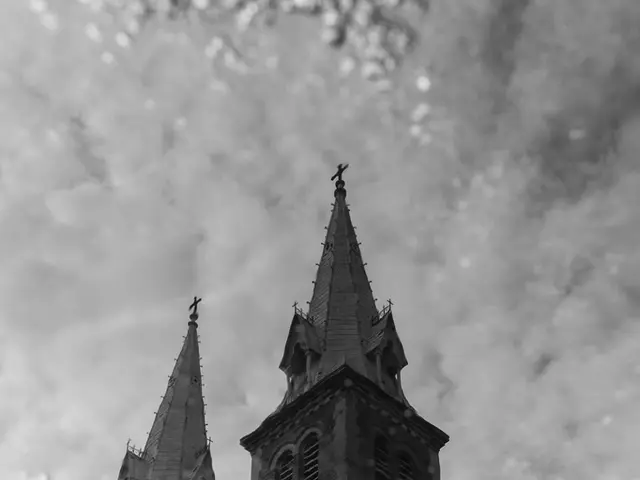 Severe fog advisory issued in UAE: Motorists cautioned due to decreased visibility