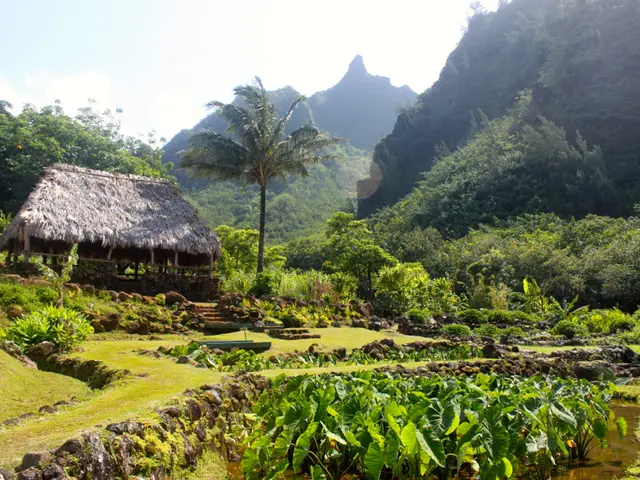 Uncovering the Root Cause of the Soreness Beneath Your Left Chest