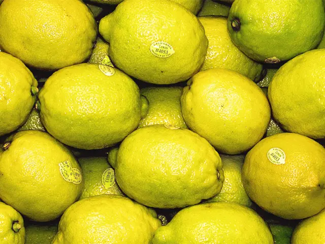 Uncovering Lemons' Potential: Utilizing Lemon for Diabetes Management