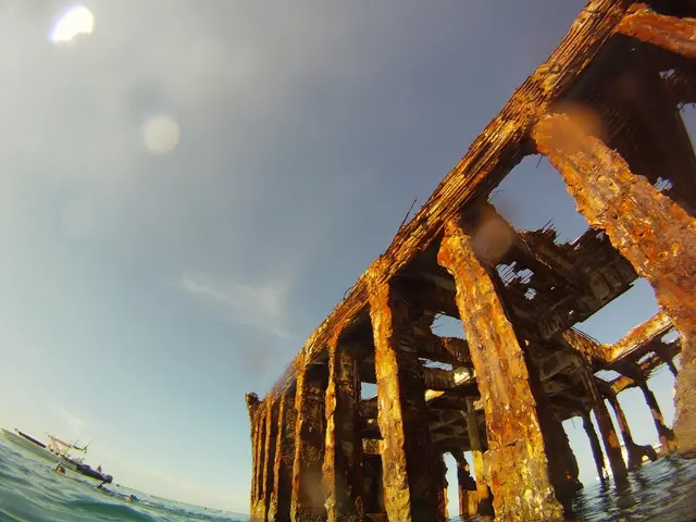 Profit drops significantly in ocean shipping sector, with Q2 earnings growth predictions appearing...