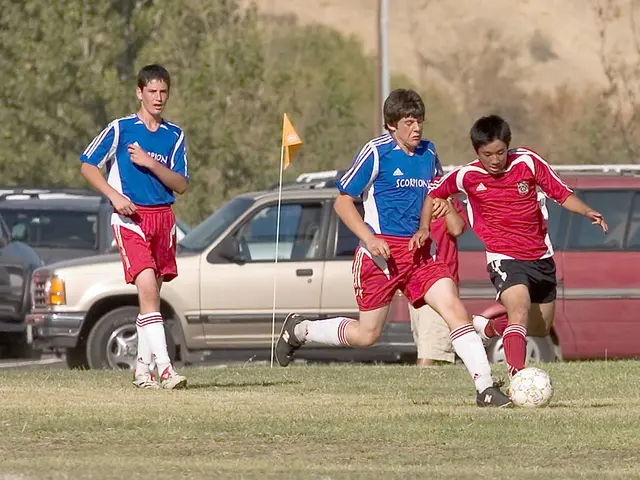 City demands removal of rainbow flag by Backnang-Fan – WFV issues response