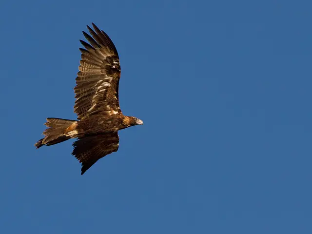 Syria denounces Israeli assaults as flagrant infringements on international law.