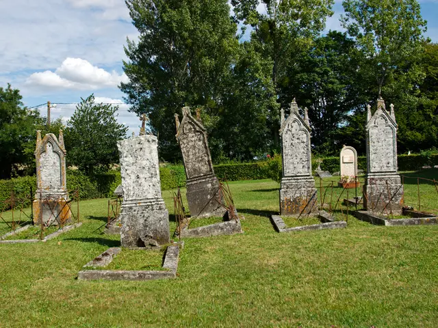 Meaningful Rituals: Reshaping Lives through Significant Traditions