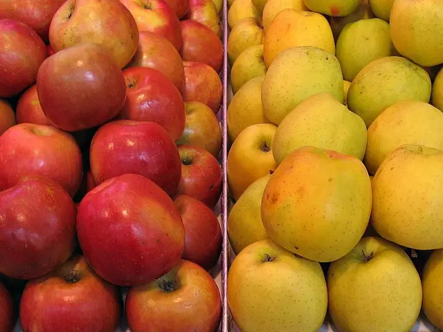 Improved Health: Discover 13 Notable Advantages of Apples Particularly for Females