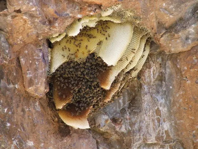 Apache Hive: An Open-Source Data-Warehousing Solution for Big Data Processing