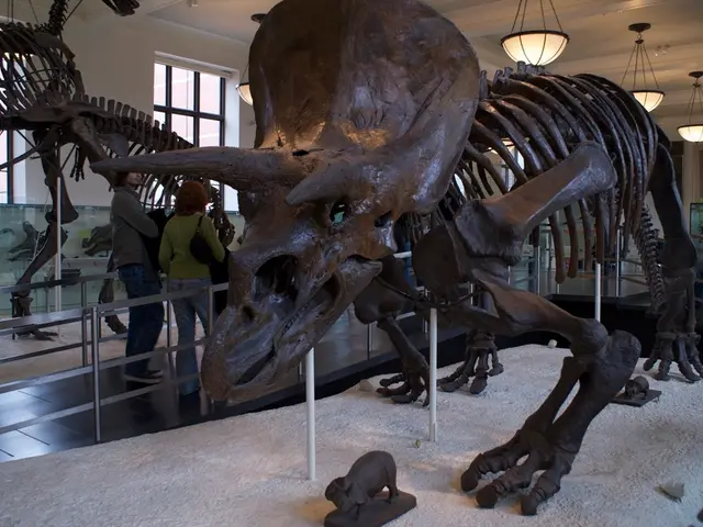 This picture is clicked in the museum. In front of the picture, we see the dinosaur exhibited in...