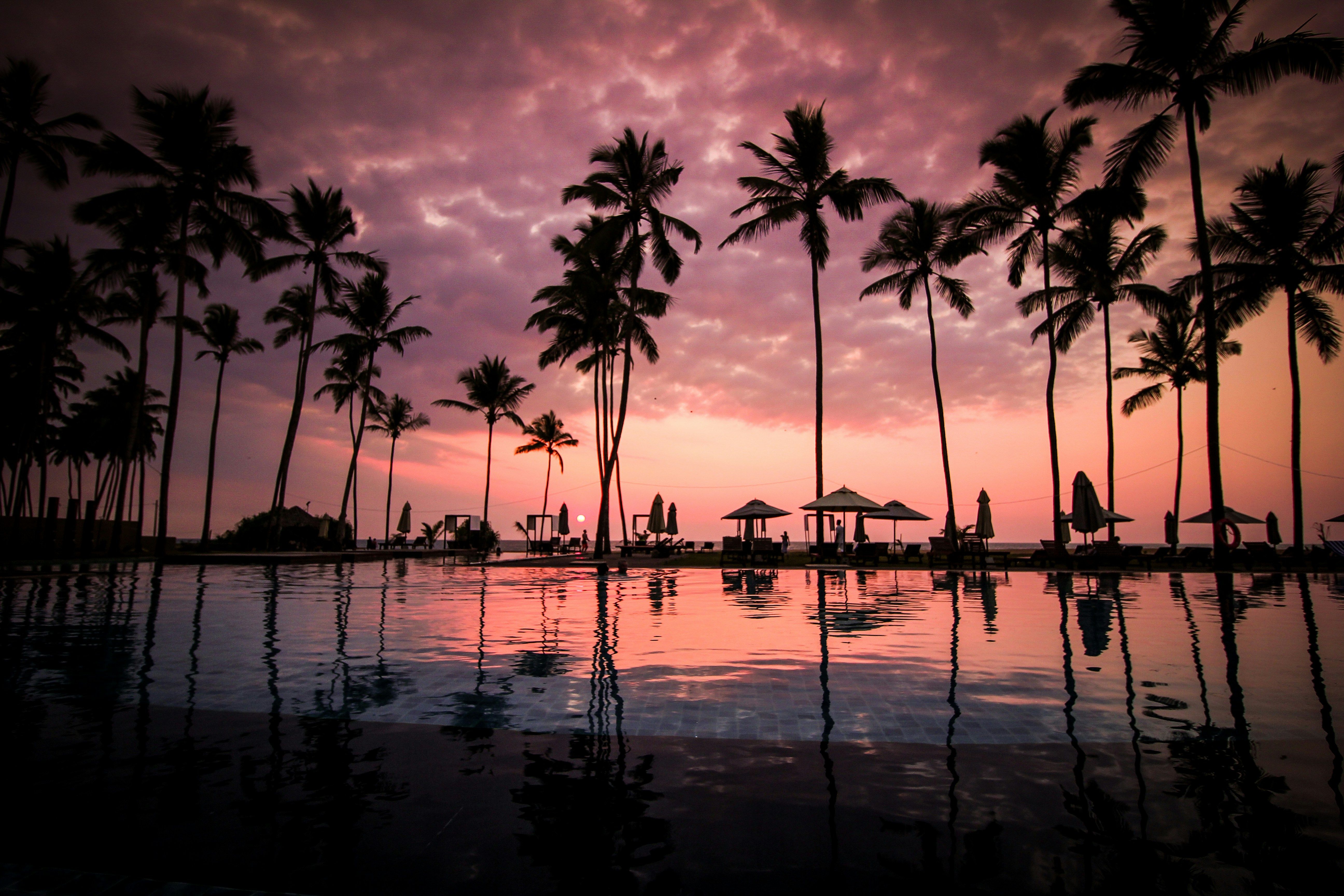 Advanced cyber hackers allegedly breach sensitive government files, exposing classified intelligence to public domain. Masked thieves steal a quarter-million dollars from a vacationing couple upon their return from a Florida casino. Find out the details here.