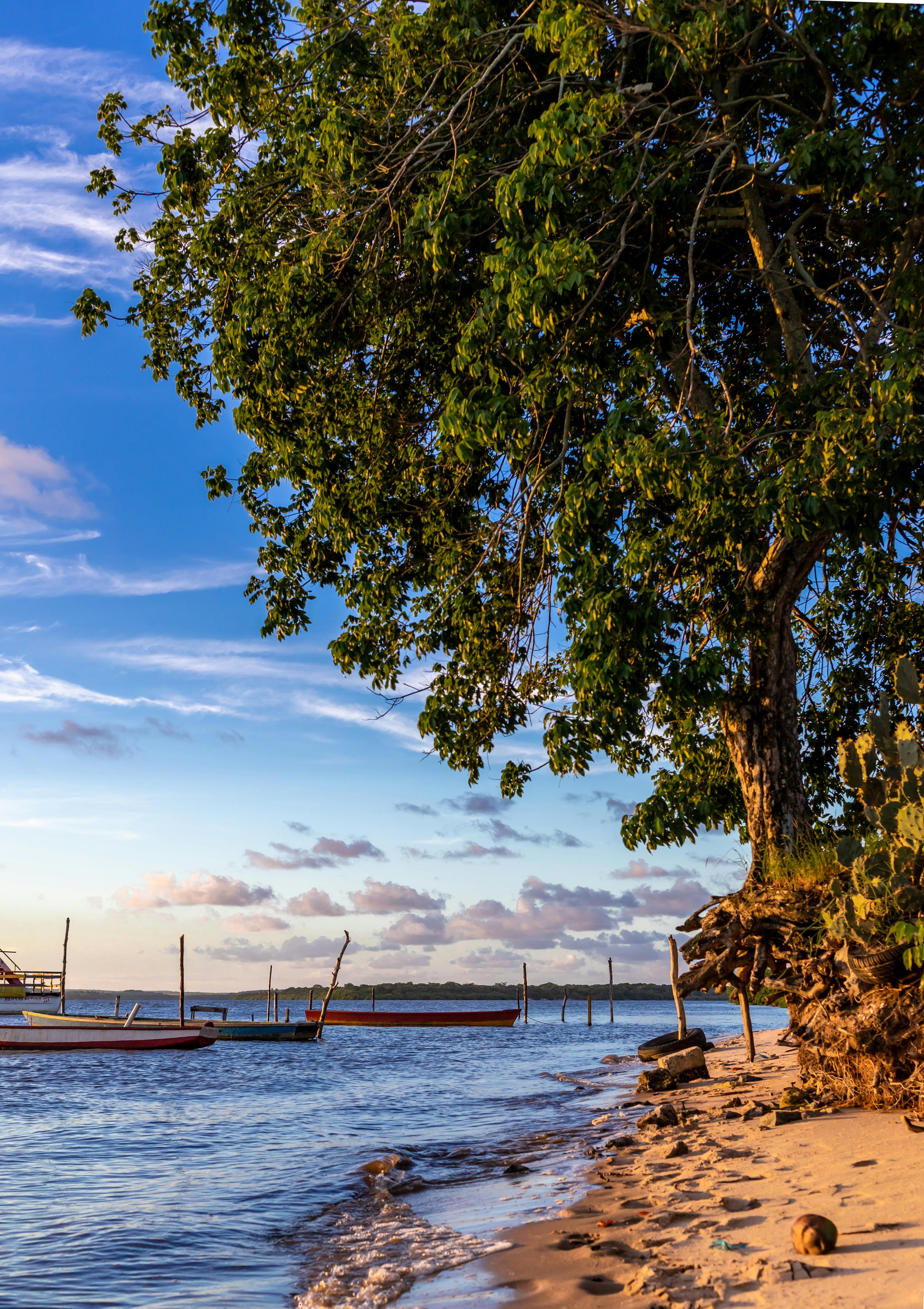 Quebec's Loto unveils that it only caters to half of the province's online gaming enthusiasts, a...